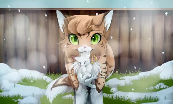 Коты Воители принцесса