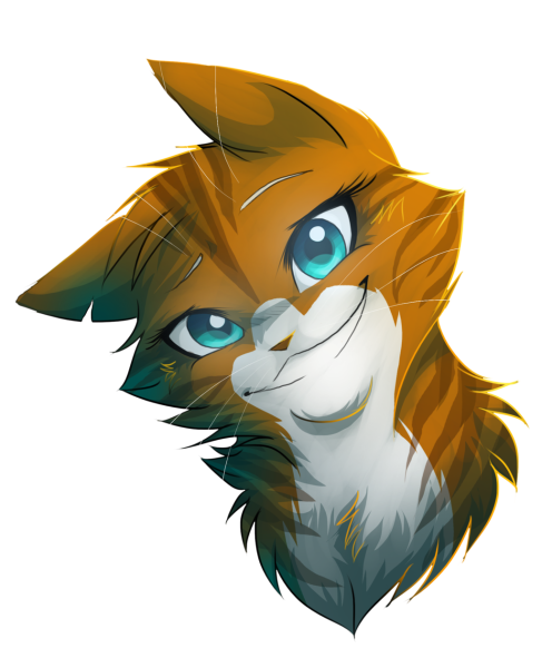 Коты Воители River Spirit Кленовница
