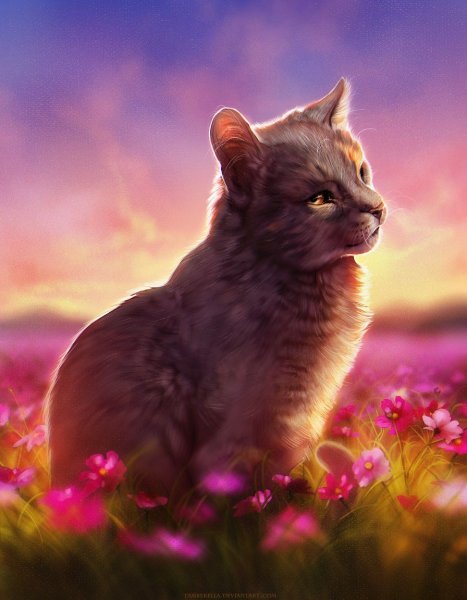 Котята фэнтези