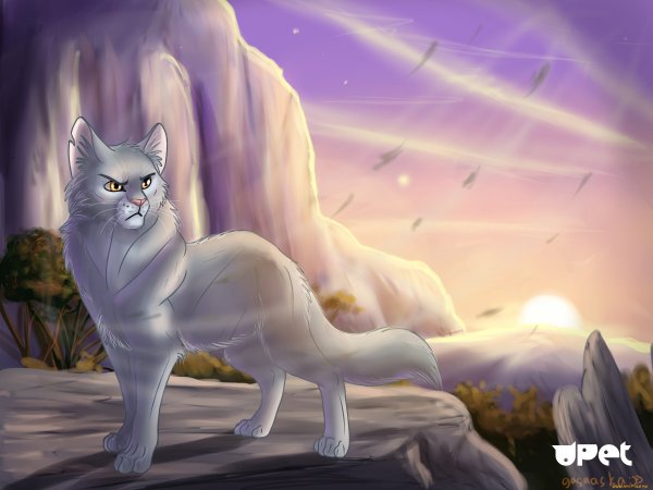 Коты Воители утёс