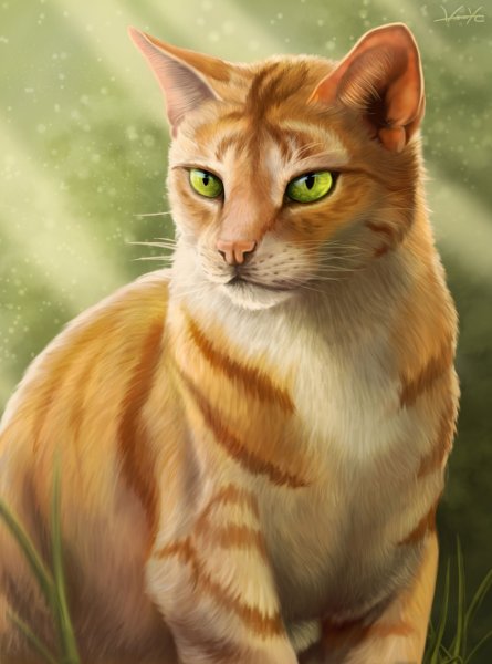Коты Воители Огнезвёзд