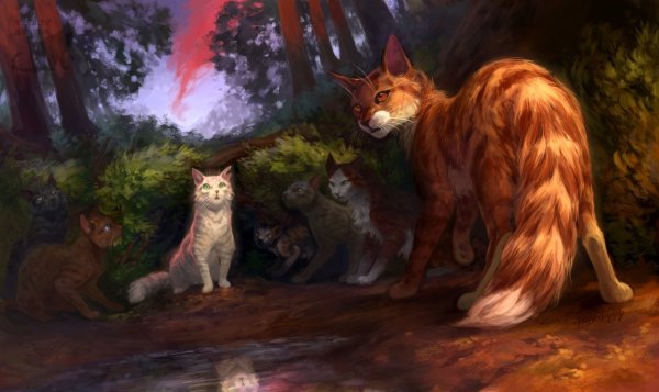 Коты Воители арт