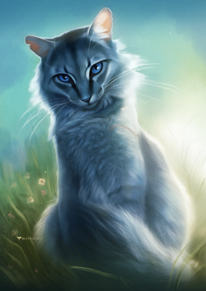 Коты Воители синяя звезда