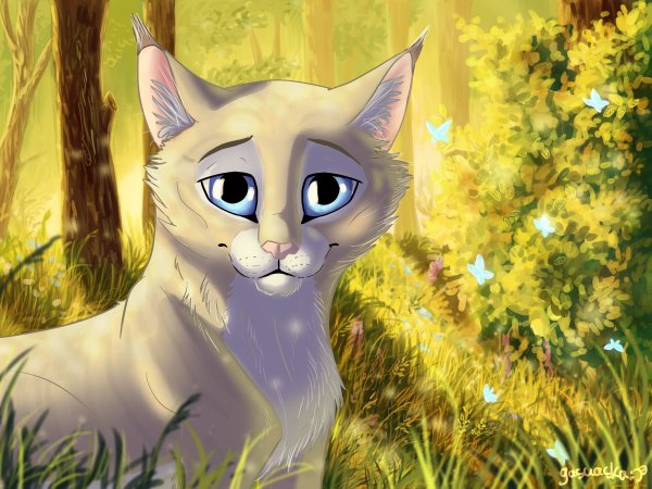 Коты Воители