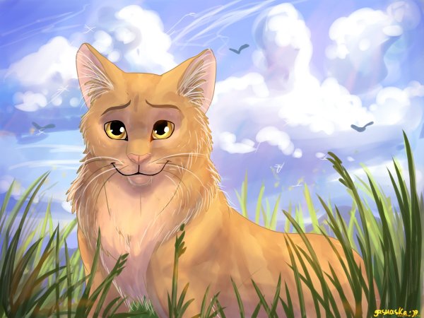 Коты Воители