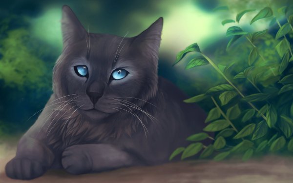 Коты Воители серая кошка