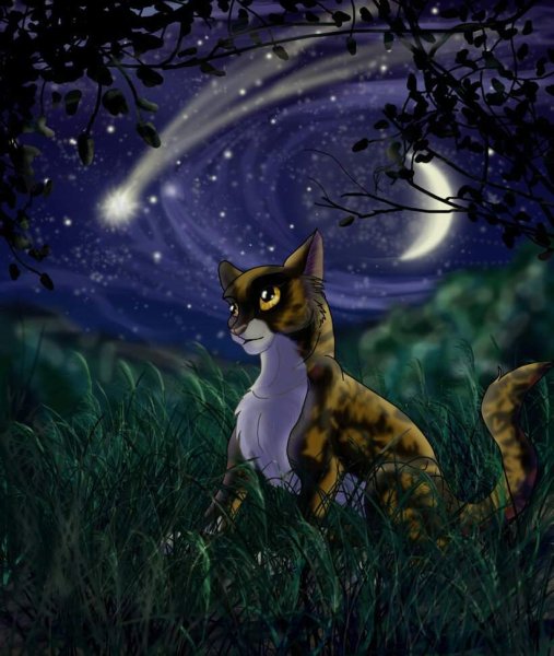 Коты Воители Warriors Cats