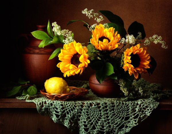 Красивые натюрморты