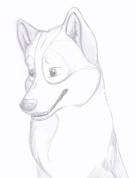 Рисунок собаки для срисовки
