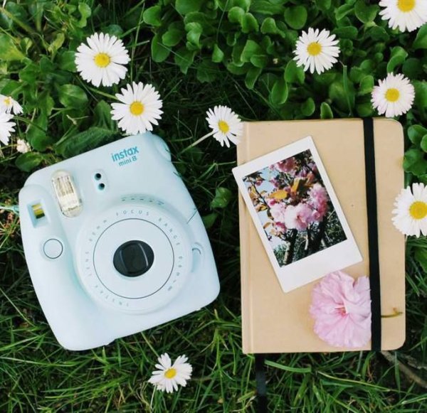 Полароид Fujifilm 1990