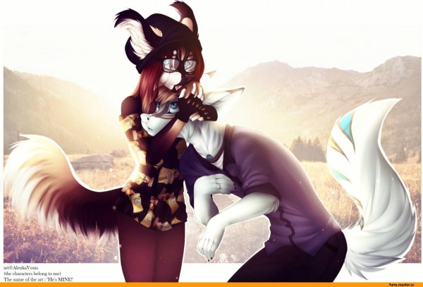 Фурри пары ALENKAVOXIS