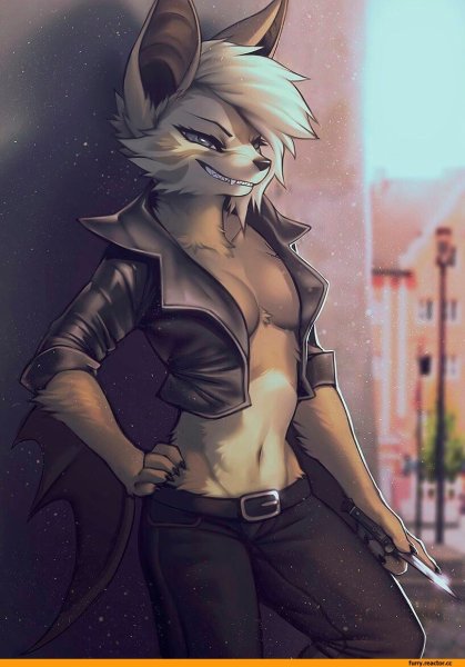 Falvie furry