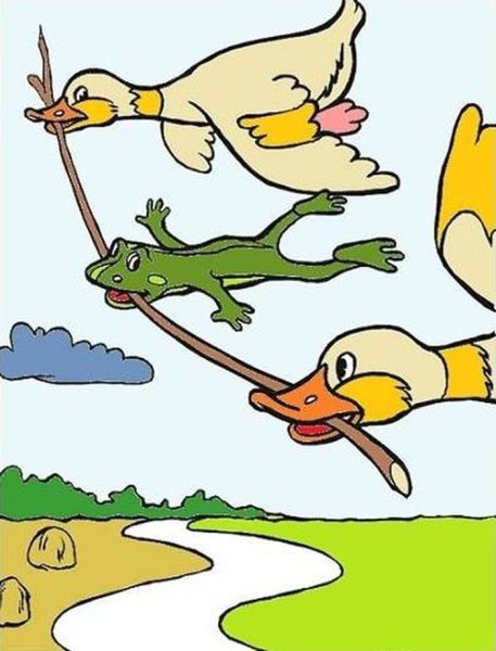 Лягушка путешественница на белом фоне