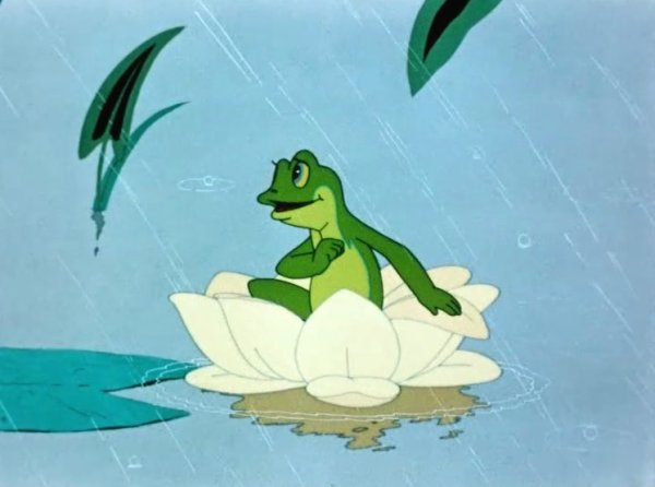 Гаршин лягушка путешественница