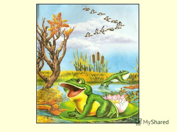 Лягушка путешественница композиция