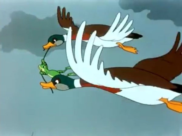 Лягушка путешественница мультфильм