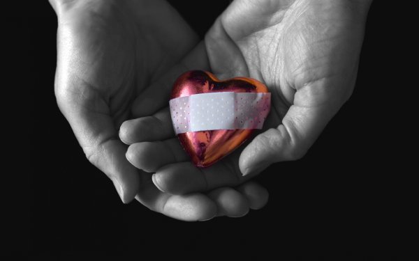 Сердце Эстетика