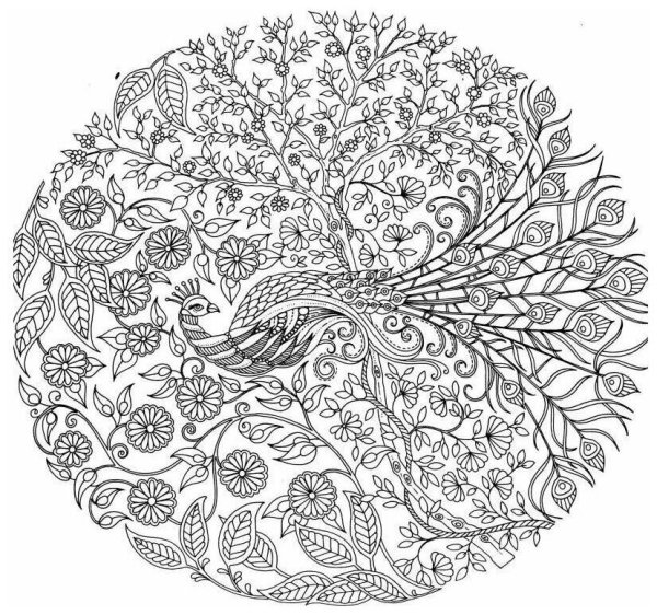 Джоанна Бэсфорд таинственный лес