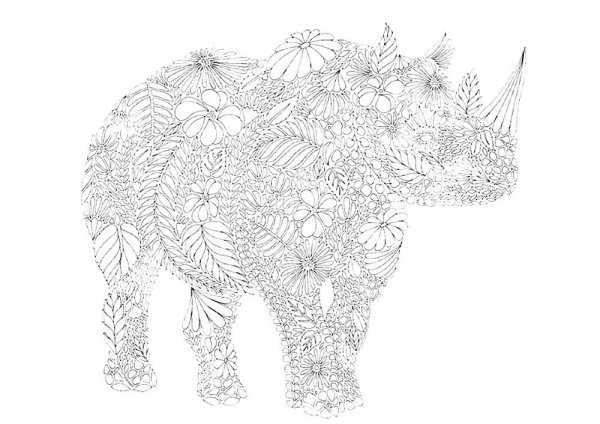 Раскраски сложные