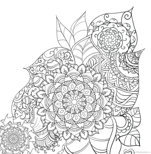 Раскраска антистресс