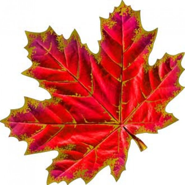 Цветной лист