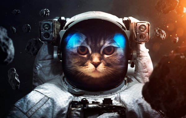 Валпайпер космонавт