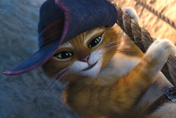 Кот в сапогах кошка мягколапка