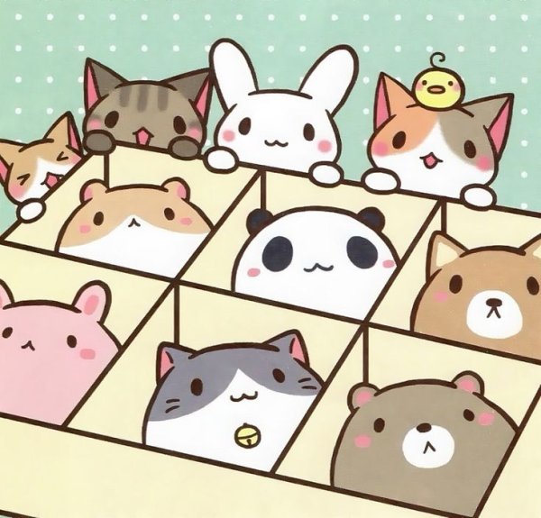 Кавайные котики