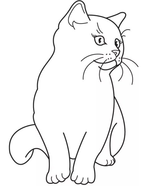 Раскраска кот