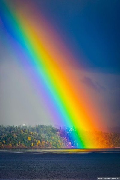 Разноцветные краски