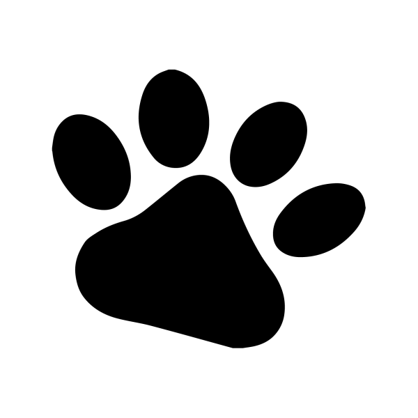Лапа кота интересная информация