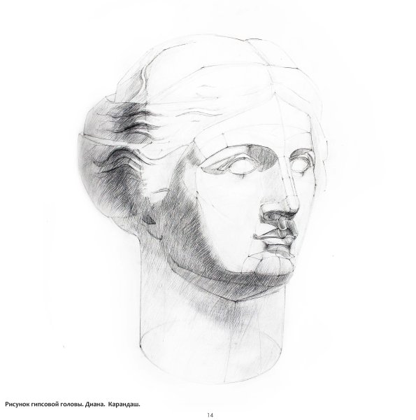 Гипсовая голова СФУ