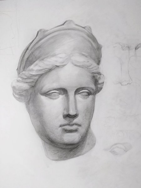 Антиной Сократ Афродита и Цезарь