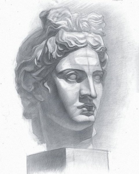 Аполлон Диадумен гипсовая голова конструктивный рисунок