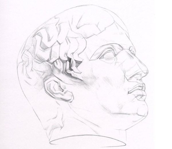 Гефестион гипсовая голова