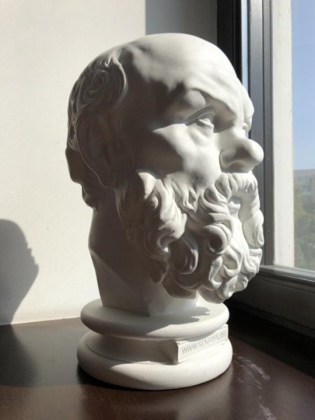 Голова Антиноя МАРХИ