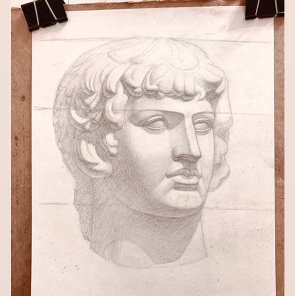 Этюд гипсовой головы гризайль