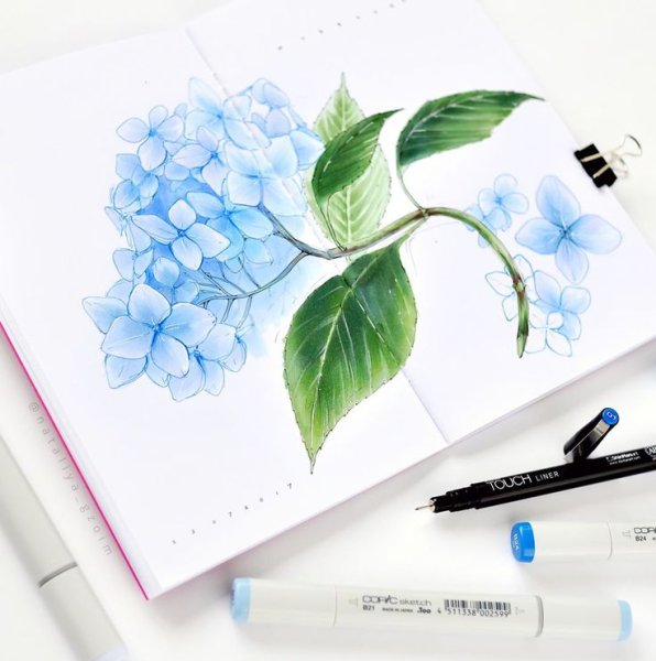 Цветы маркерами для скетчинга