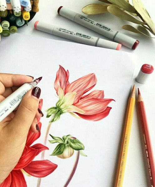 Живопись маркерами