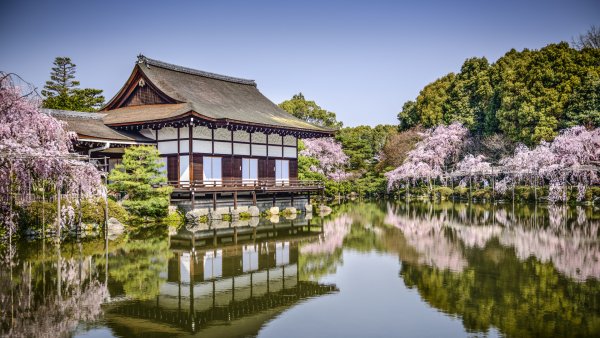 Киото храм Сакура
