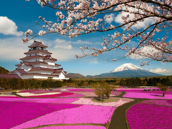Japan Landscape Винтер
