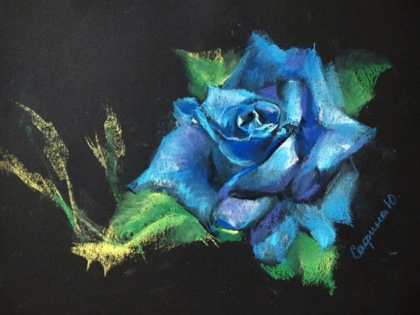 Кузнецов голубая роза