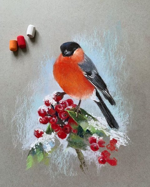 Снегирь масляной пастелью