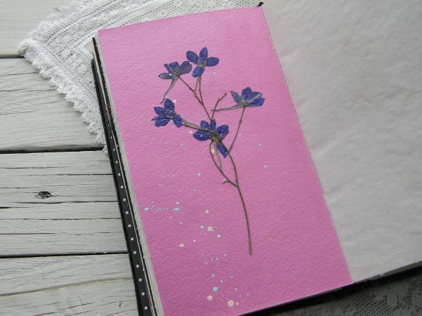 Красивые картинки для блокнота