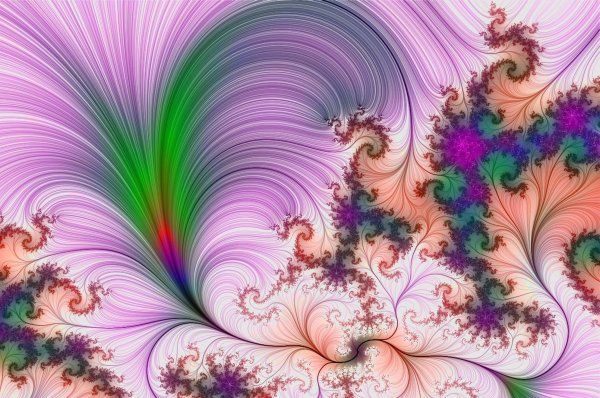 Яркие цветы