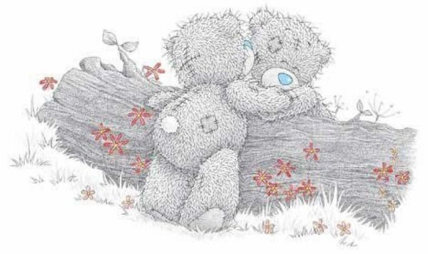 Мишка Тедди обнимашки