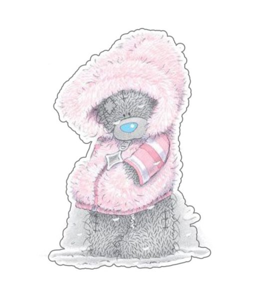 Мишки Tatty Teddy зимние