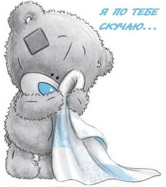 Медвежонок Тедди скучает