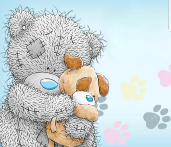 Мишка Тедди в высоком качестве