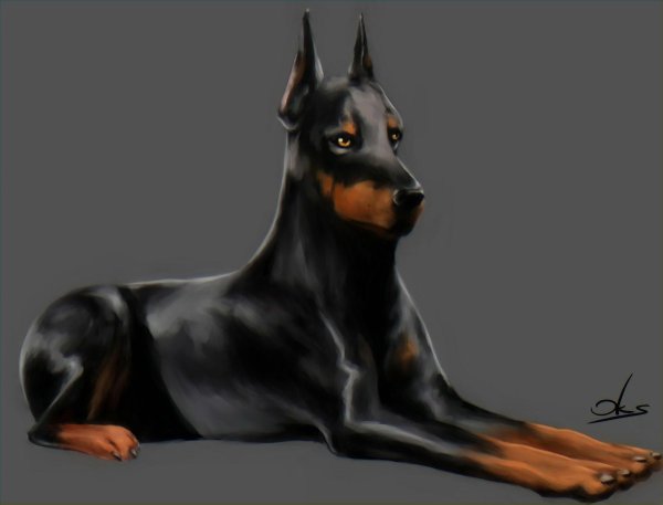 Аниме собака Доберман демон